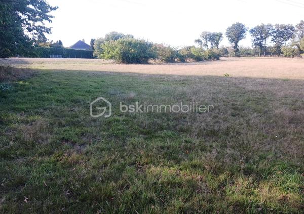 Terrain de loisirs de 10 113 m²