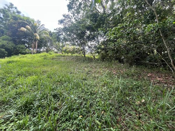 Vente                                                      Maison
                        
                     4 pièces                                         à Rivière-Salée