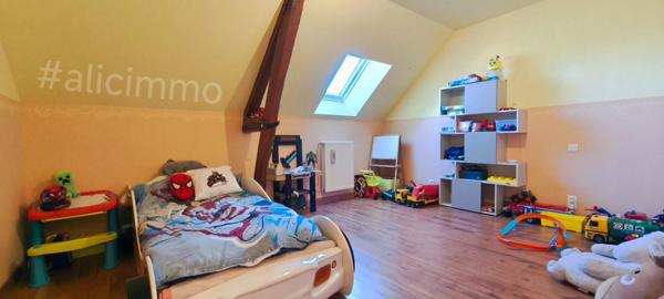 Maison Broyes 8 pièces 300 m2