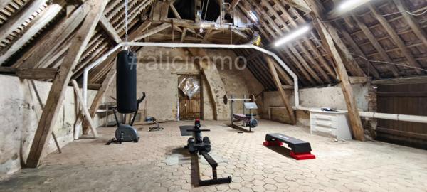 Maison Broyes 8 pièces 300 m2