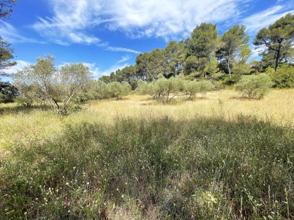 Lambesc, Mas traditionnel d'environ 220m² sur 4 ha