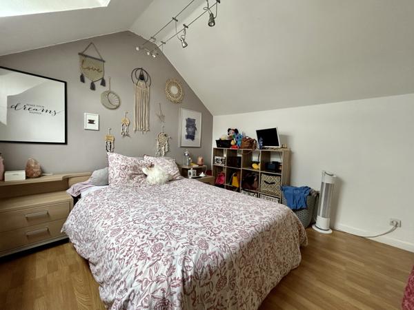 Colmar (68000) Appartement/loft, 4P, 110m2, dernier étage, terrasse, Colmar