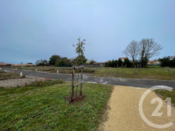 Terrain à vendre  417 m2 OLONNE SUR MER - 85