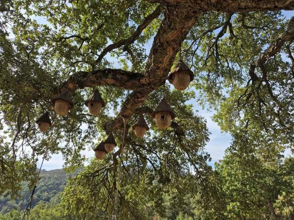 Vente                                                      Propriété
                        
                     8 pièces                                         à La Garde-Freinet