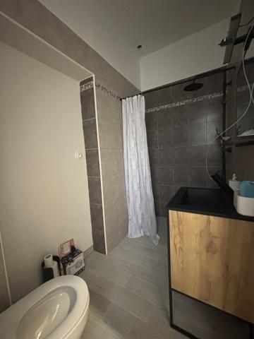 Côte d'Or : Bâtisse bourguignonne de 450m² dont 260 m² rénové (plain pied) , annexes, garages sur 4000m²  Sainte-Colombe-sur-Seine (21400)