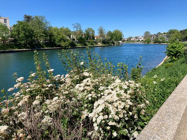Appartement Bry Sur Marne 3 pièce(s) 75 m2
