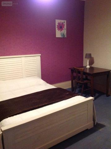 Local professionnel à vendre à Saint-Gaultier dans l'Indre (36800), ref : 037/2042