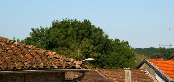 Dpt Ain (01), à vendre SAINT JULIEN SUR REYSSOUZE immeuble - Terrain de 165,00 m²