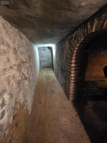 Immeuble de rapport à vendre à Château-Renault dans l'Indre-et-Loire (37110), ref : 95-53