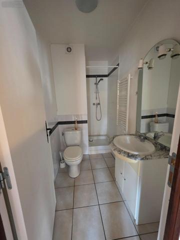 Immeuble de rapport à vendre à Château-Renault dans l'Indre-et-Loire (37110), ref : 95-53