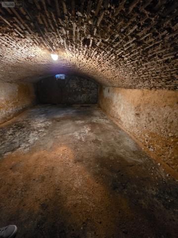 Immeuble de rapport à vendre à Château-Renault dans l'Indre-et-Loire (37110), ref : 95-53