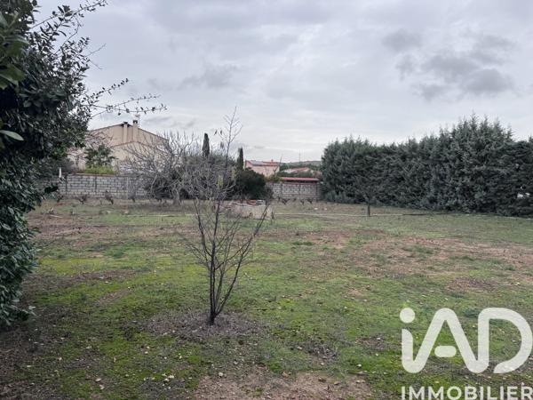 Terrain à vendre 878 m² Salses-le-Château