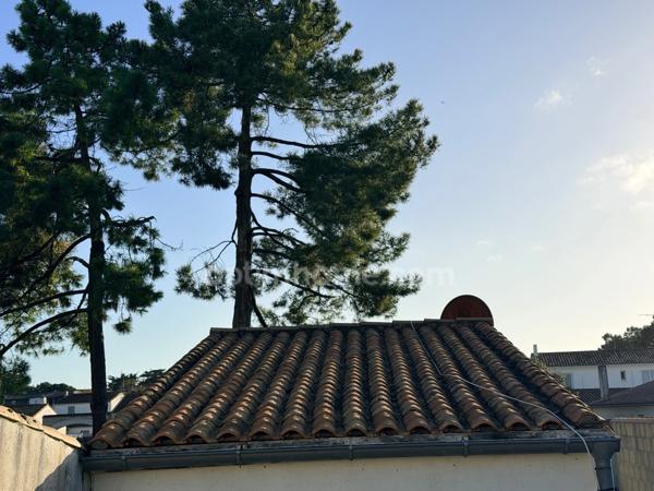 Appartement à vendre 2 pièces LA FLOTTE (17)