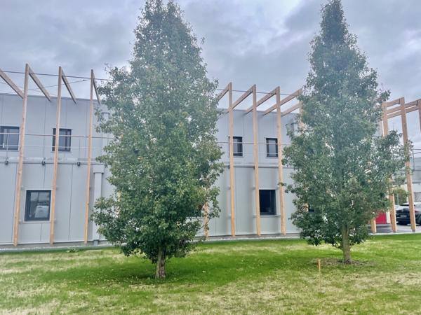 A LOUER BUREAUX VENETTE BOIS DE PLAISANCE