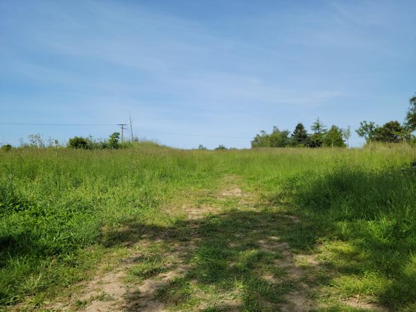 Maison 5 chambres avec dépendances - Au calme