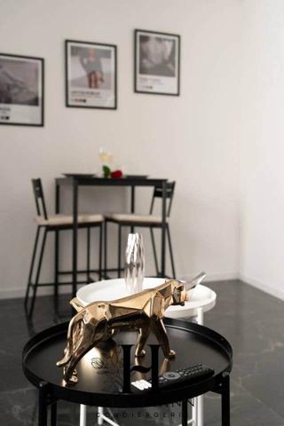 Nancy (54000) DUPLEX PREMIUM 45 M² - NANCY