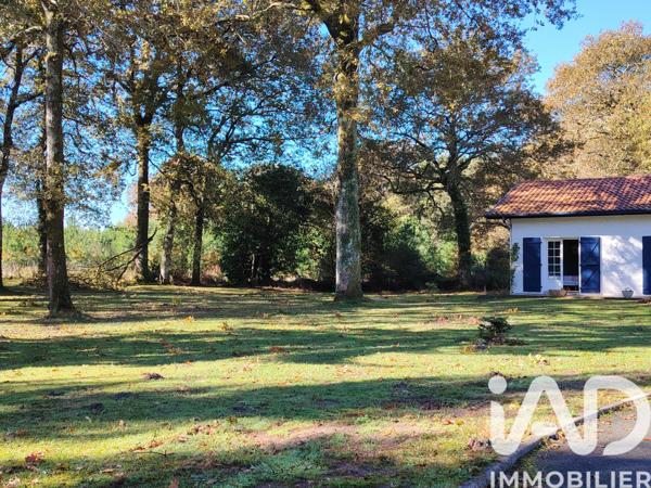 Maison à vendre 4 pièces 122 m² Saubion