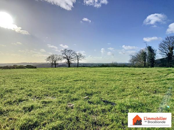 Belle longère en Brocéliande