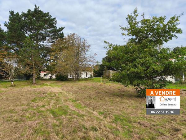 TERRAIN A BATIR 633 M² - CORCOUE-SUR-LOGNE 44