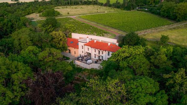 Vente Propriété de luxe Dijon 11 Pièces 481 m²