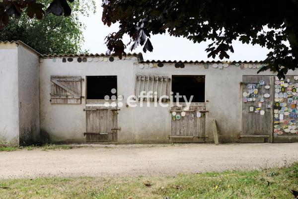 Maison 15 pièces - 226 m²