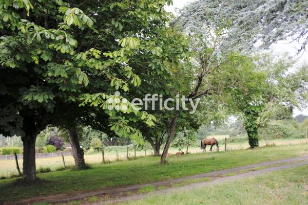 Maison 15 pièces - 226 m²