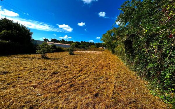 Terrain à vendre    Saint-Augustin