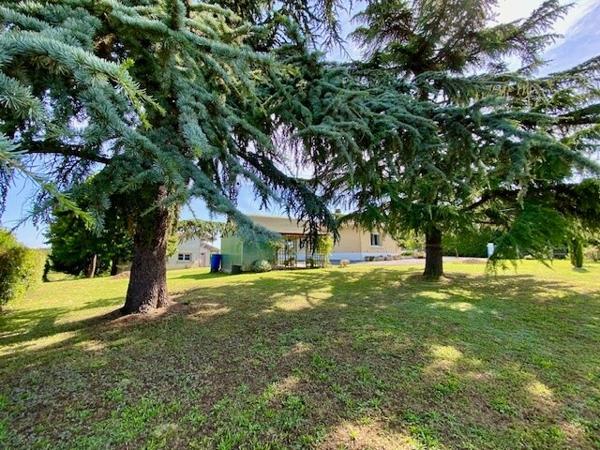Auch, quartier prisé - Plain-pied de 155m2 - Jardin + dépendances