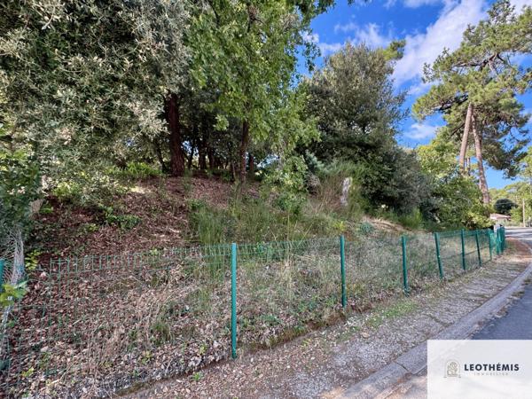 OPPORTUNITÉ RARE À RONCE-LES-BAINS – TERRAIN À BÂTIR