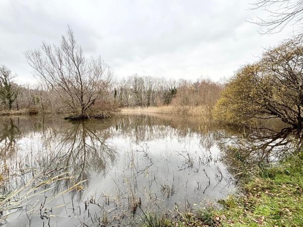 Environ 14 hectares de bois avec un étang