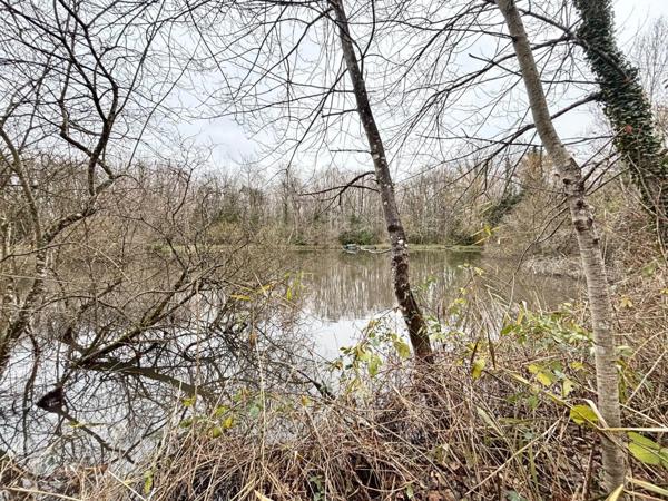 Environ 14 hectares de bois avec un étang