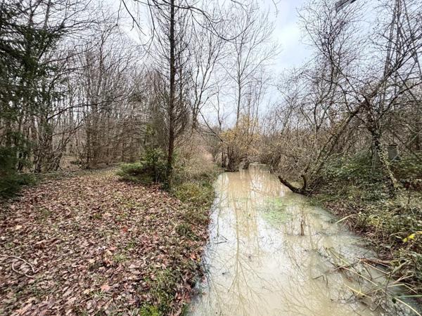 Environ 14 hectares de bois avec un étang