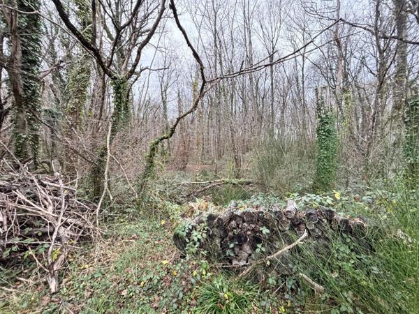 Environ 14 hectares de bois avec un étang