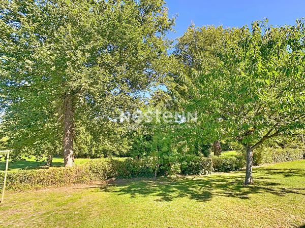 Maison d'architecte ? 172 m² ? Vue imprenable sur le Golf d'Avrillé