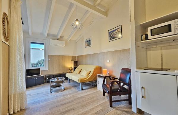 PORTICCIO Charmant Studio rénové avec terrasse et jardinet Porticcio (20166)