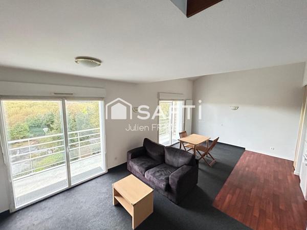 SPÉCIAL Investisseur - La Haie-Fouassière - Grand appartement T2