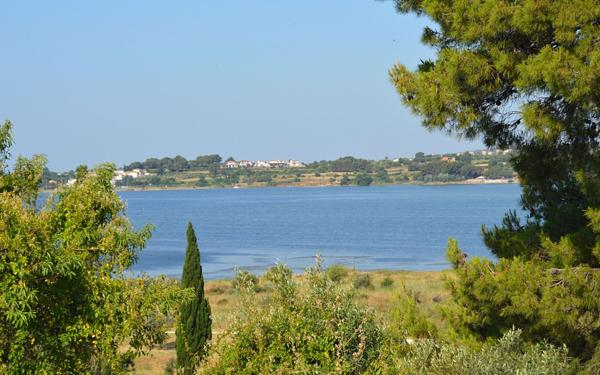 Maison à vendre    5 pièces •  Balaruc-le-Vieux