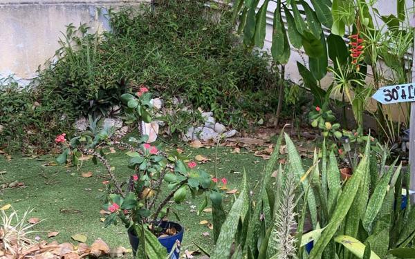 Appartement à louer    2 pièces •  Le Gosier