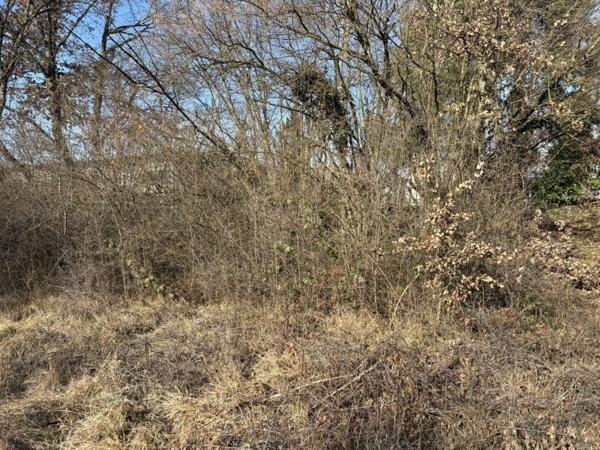 Vente / Terrain constructible