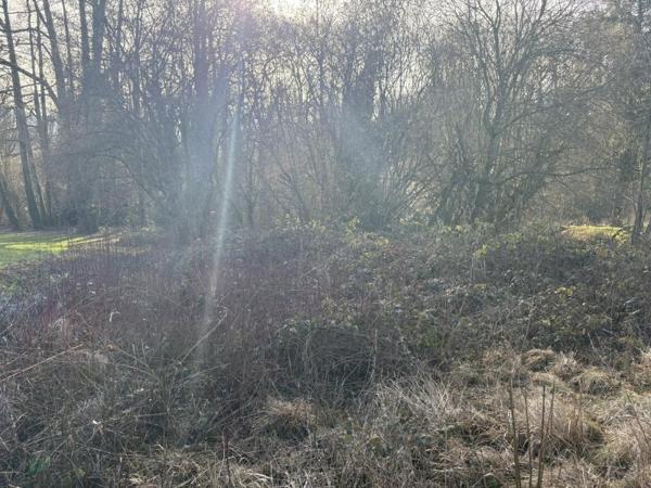 Vente / Terrain constructible