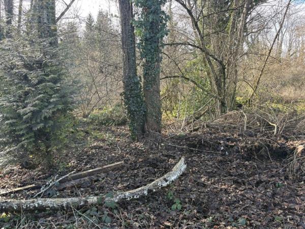 Vente / Terrain constructible