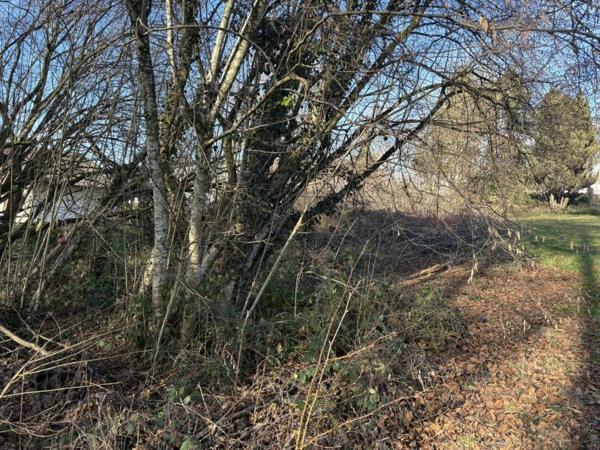 Vente / Terrain constructible