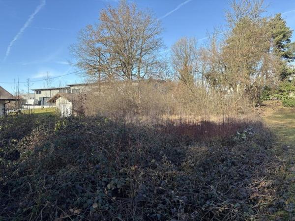 Vente / Terrain constructible