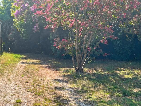 Bruges centre Terrain 389m²