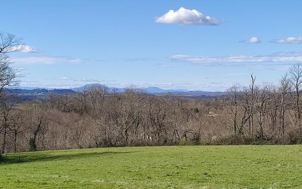 Maison à vendre    9 pièces •  Peyrehorade