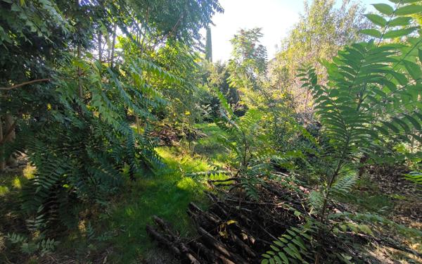 Terrain à vendre    Nîmes