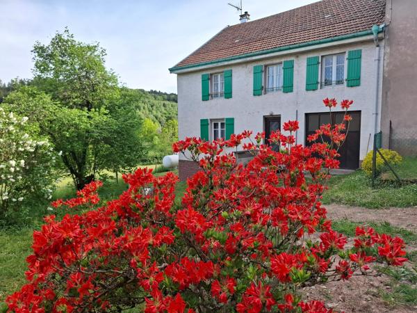 Maison à MOYENMOUTIER, 88420 - 4 pièces 105m²