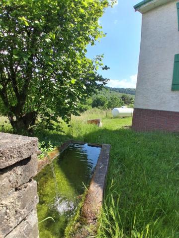 Maison à MOYENMOUTIER, 88420 - 4 pièces 105m²