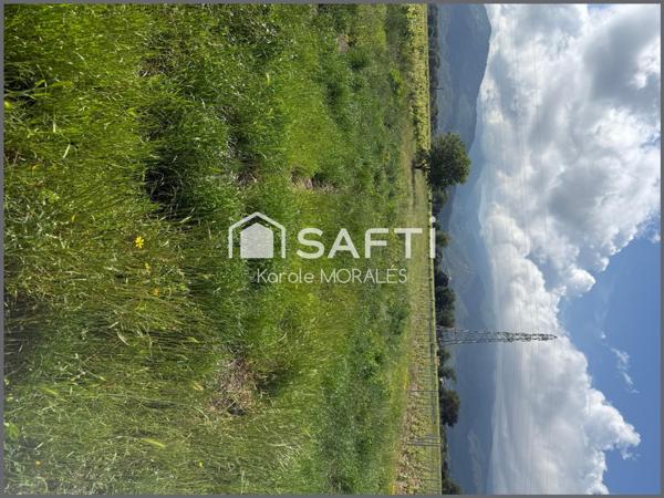 SOREDE (66 ), TERRAIN  AGRICOLE DE 1110 m2 A VENDRE