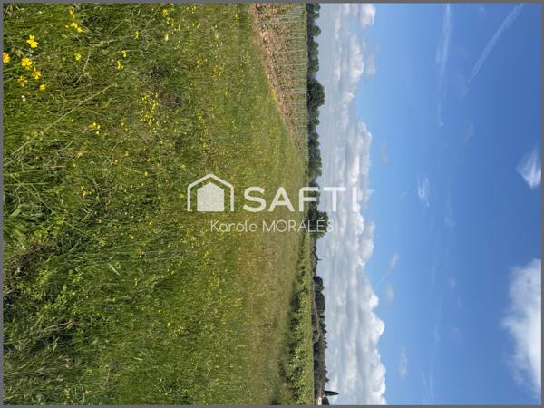 SOREDE (66 ), TERRAIN  AGRICOLE DE 1110 m2 A VENDRE